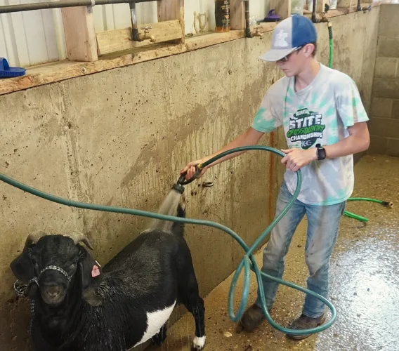 Scenes from the 2026 NDSF